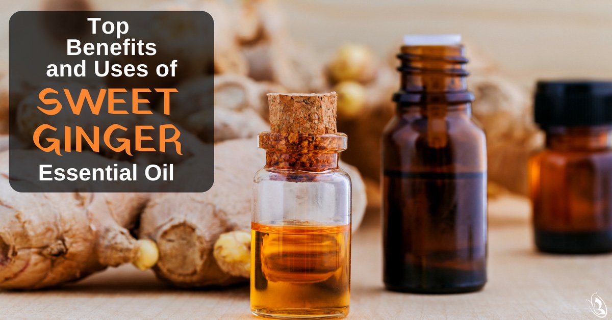 Top Benefits And Uses of Sweet Ginger Essential Oil