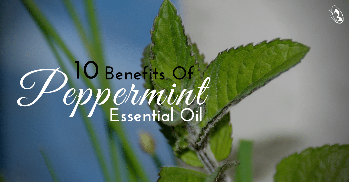 10 Benefits of Peppermint Essential Oil