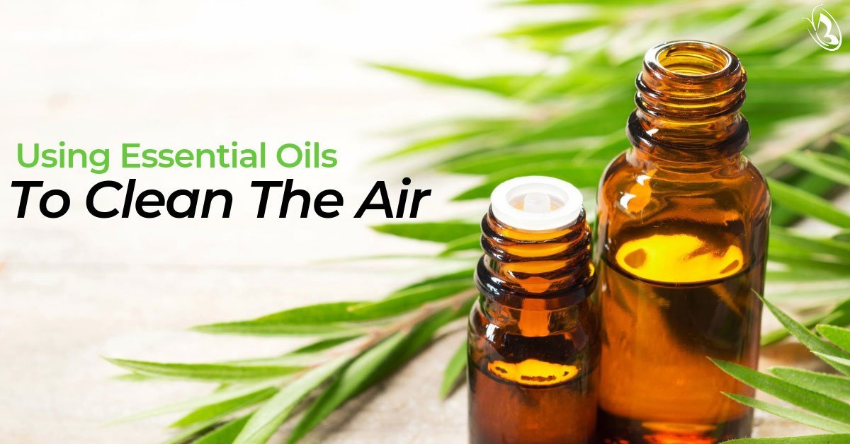 Using Essential Oils to Clean the Air