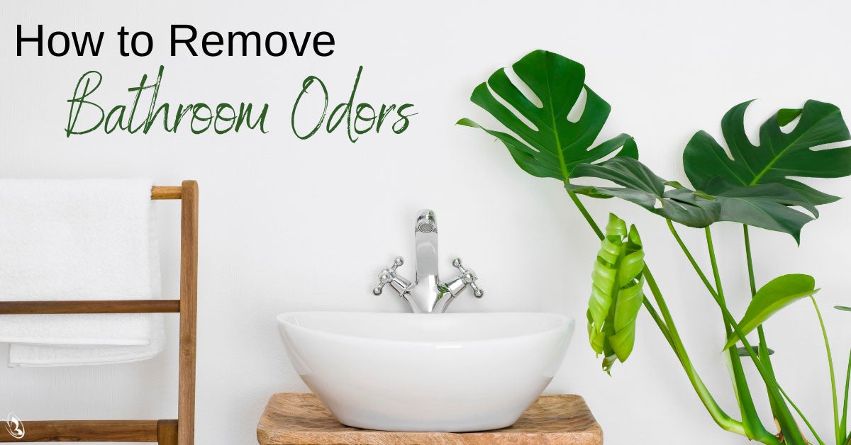 How to Remove Bathroom Odors