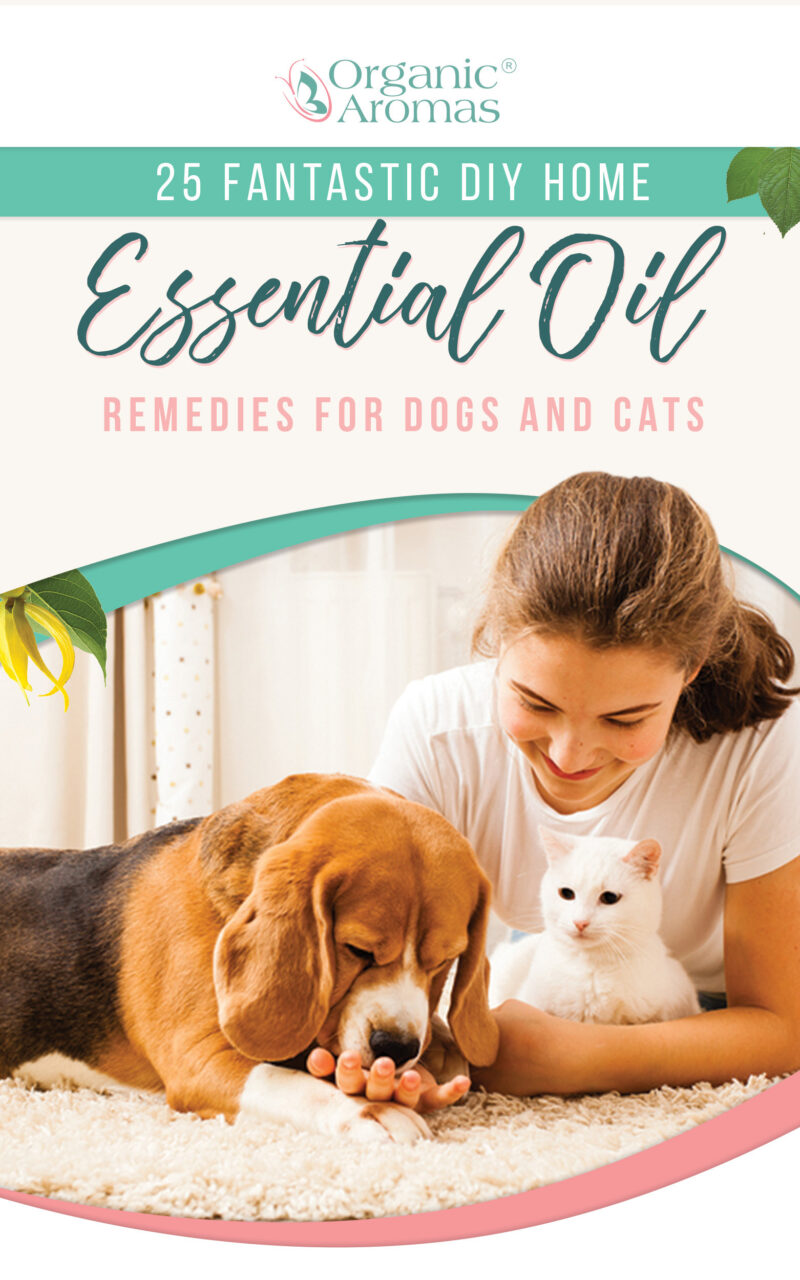 e-book DIY Home Essential Oil Remedies for Dogs and Cats