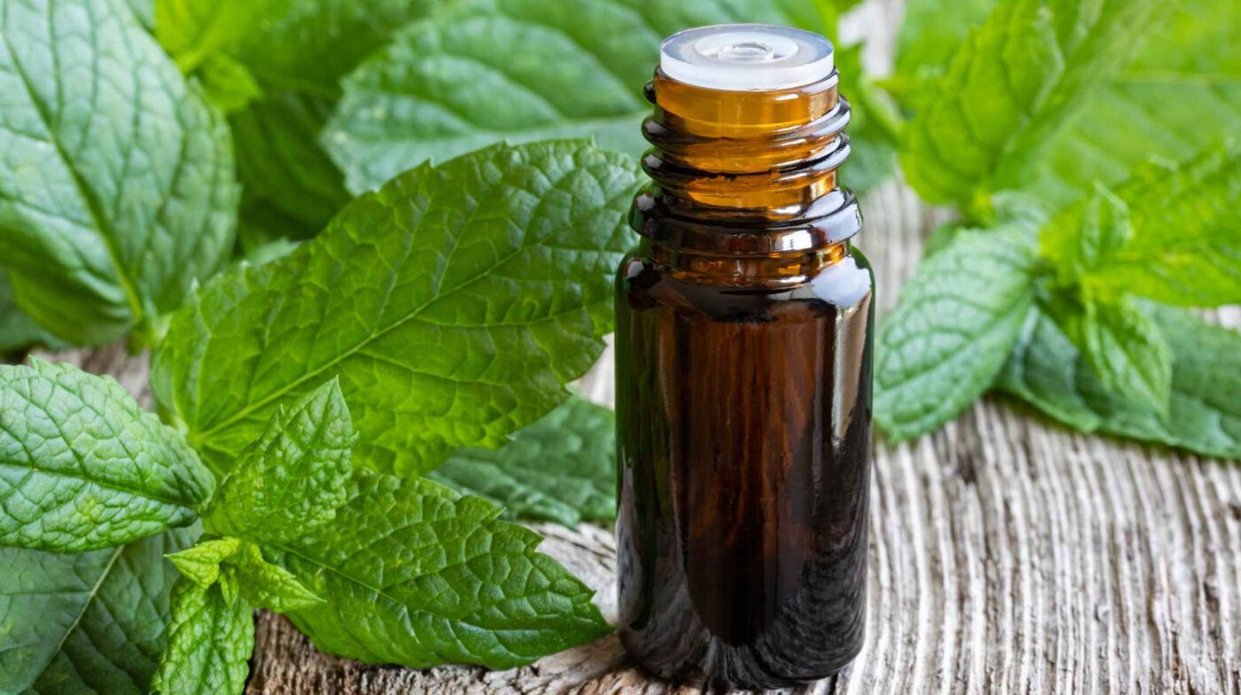 essential oil bottle and peppermint leaves