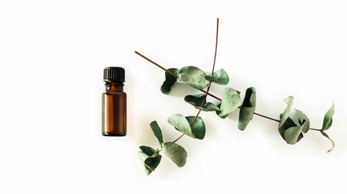 essential oil bottle and eucalyptus leaves