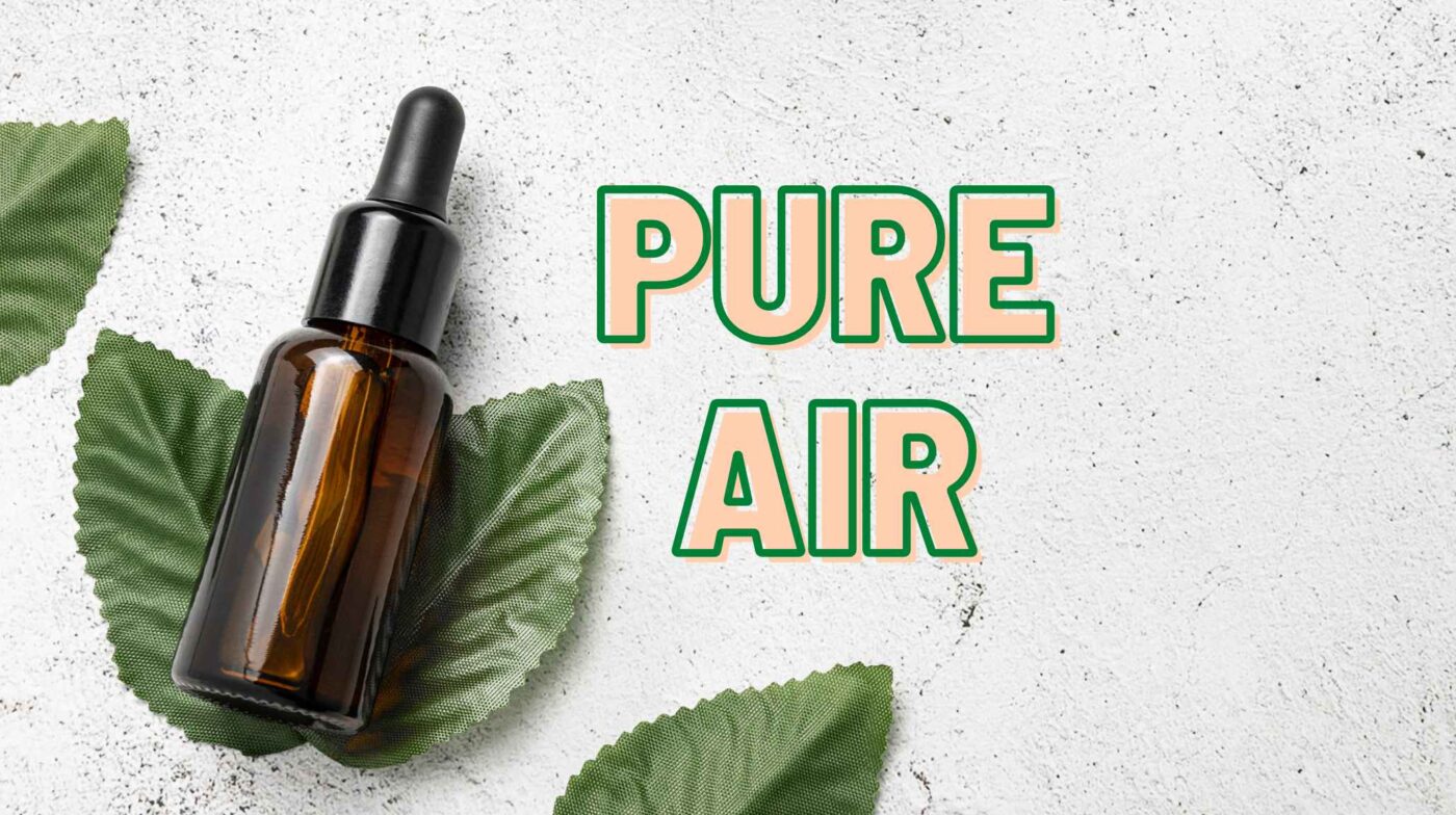 Essential oils to purify the air