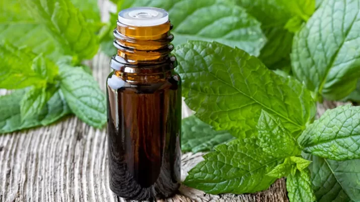 Photo of a Peppermint Essential Oils