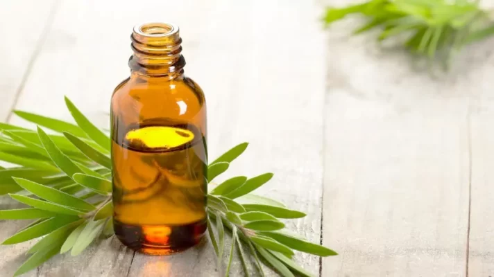 photo Tea Tree Essential Oils on the top of a wooden Table