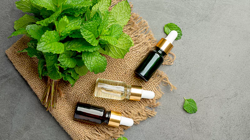photo of peppermint essential oil lying on the ceramic Peppermint leaves and essential oil bottle The Breath of Fresh Air