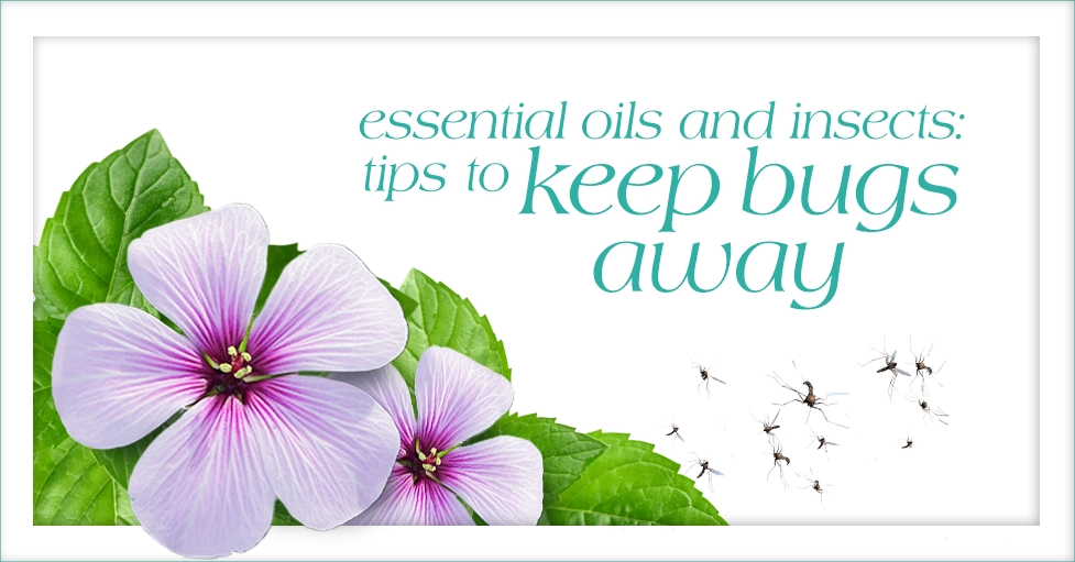 Essential Oils That Repel Bugs & Other Pests