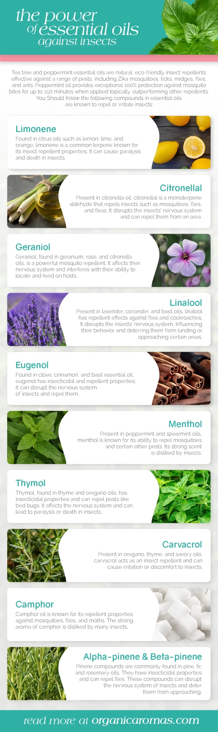 Essential Oils That Repel Mosquitoes and How To Use Them