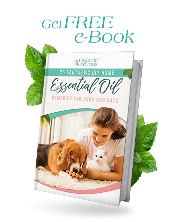 Get free e book on essential oils for dogs and cats.