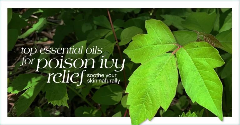 top Essential Oils for Poison Ivy Relief Soothe Your Skin Naturally Featured Image