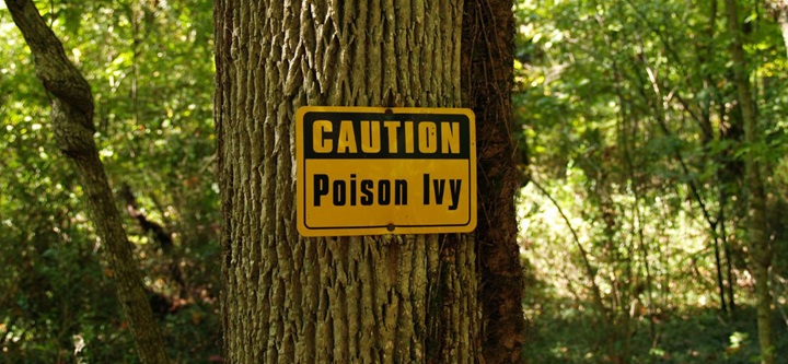 beware of poison ivy