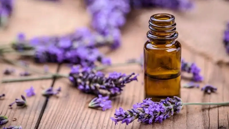 photo of essential oils on the top of a wooden table and lots of lavender lying around it lavender flowers with calming effect