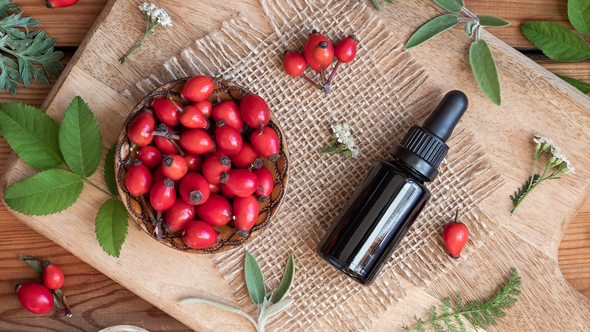 Bottle of rosehip oil and rosehip fruits