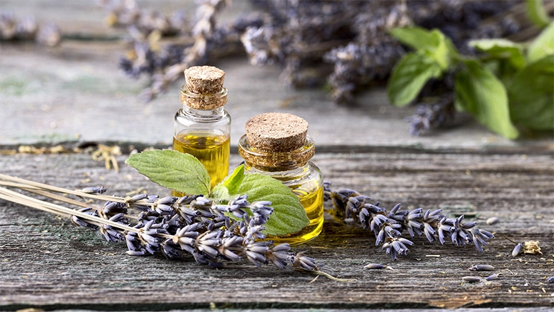 Selection of carrier oils for sensitive skin Lavender Essential Oil