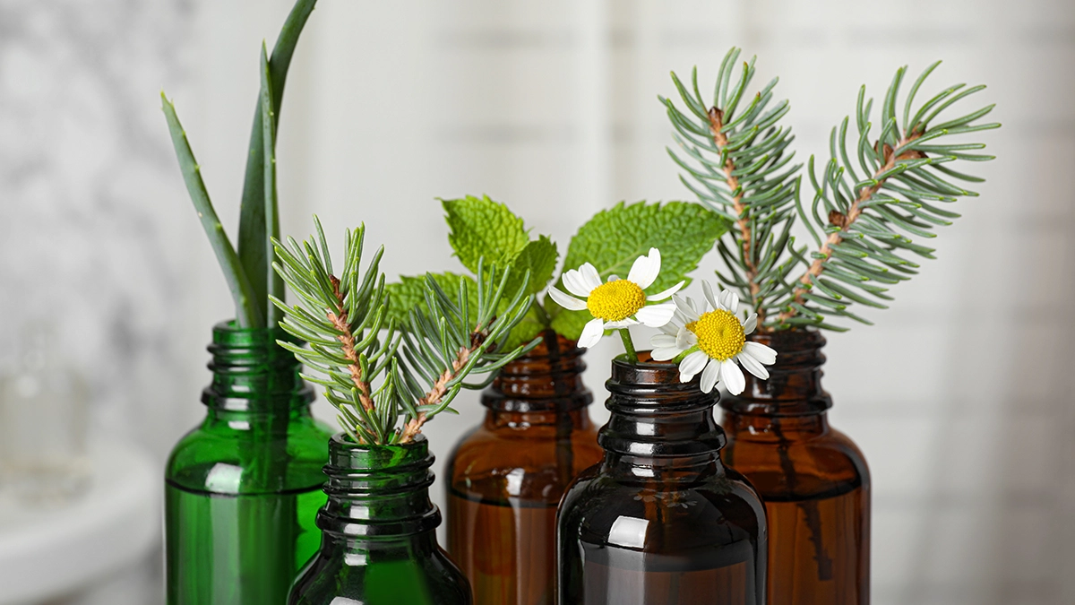 Various bottles of essential oils with fresh herbs and flowers