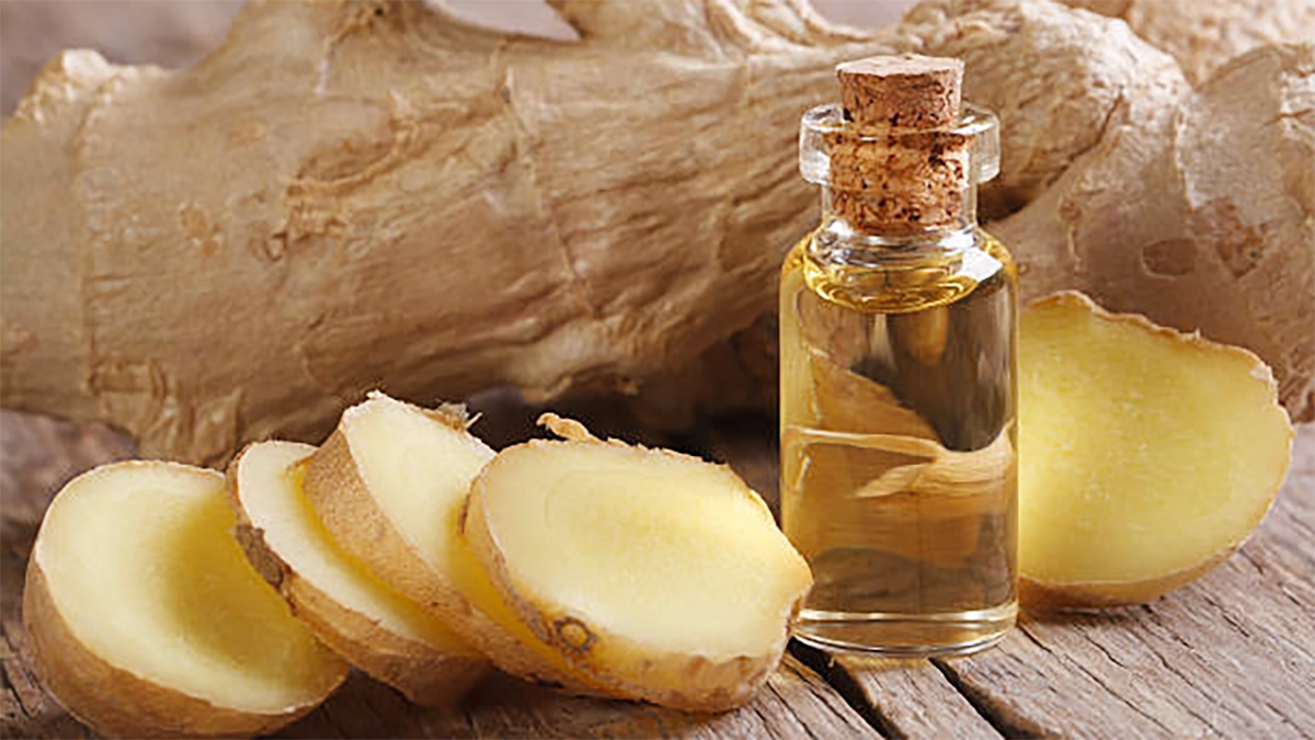 ginger essential oils ginger root with warming effect