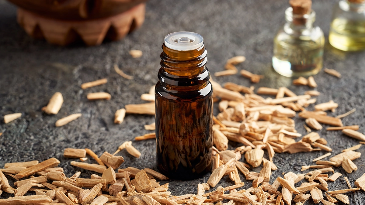 Bottles of cedarwood essential oils surrounded by cedarwood