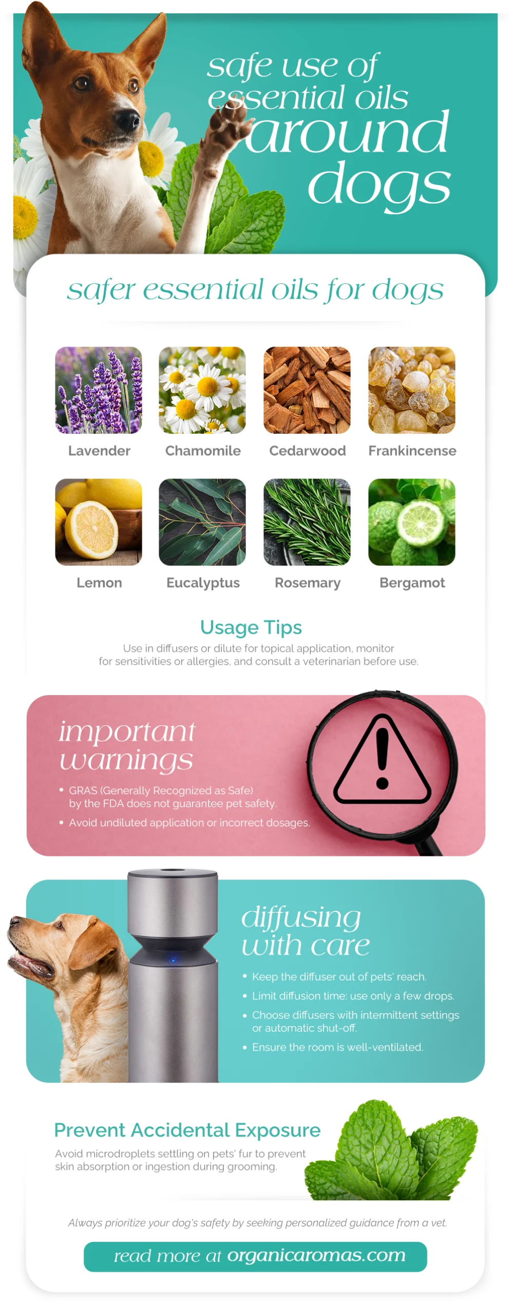 Safe Use of Essential Oils Around Dogs Infographic by Organic Aromas