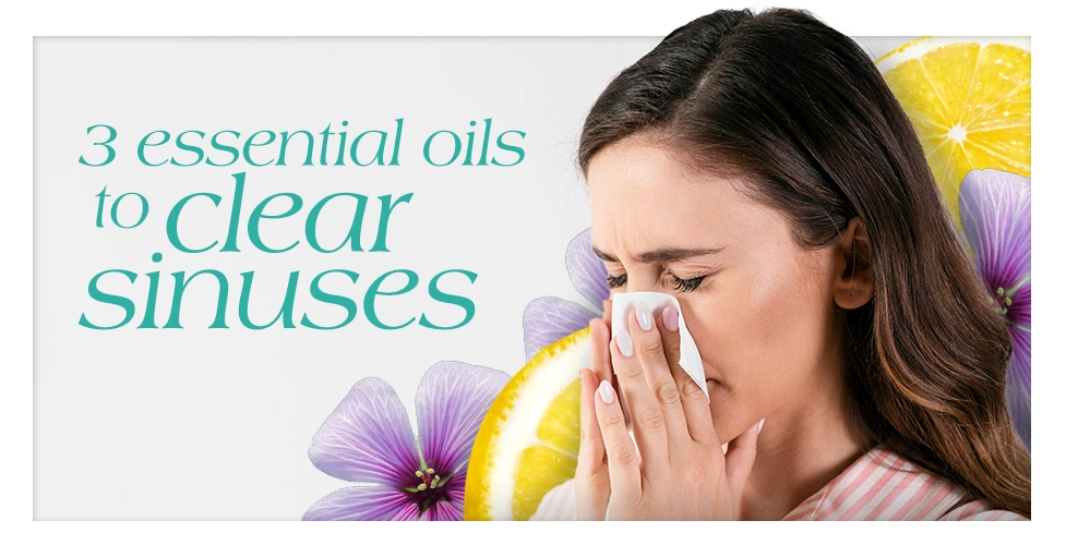 3 Essential Oils to Clear Sinuses Featured Image