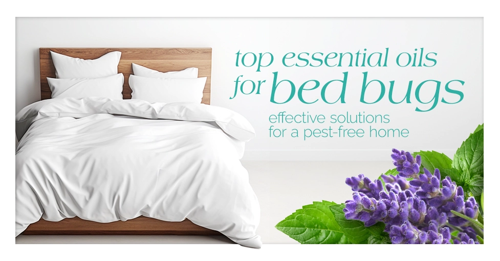 Top Essential Oils for Bed Bugs Effective Solutions or a Pest Free Home Featured Image