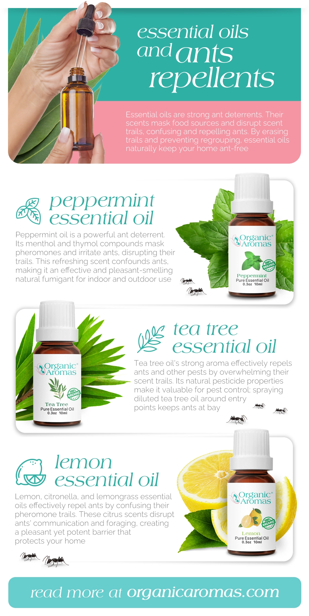 Essential Oils and Ants Repellents Infographic by Organic Aromas