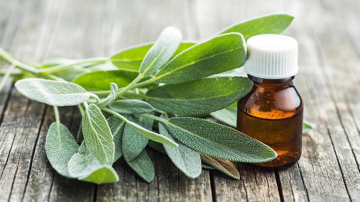 Sage essential oil with fresh sage leaves, representing purification and negativity elimination