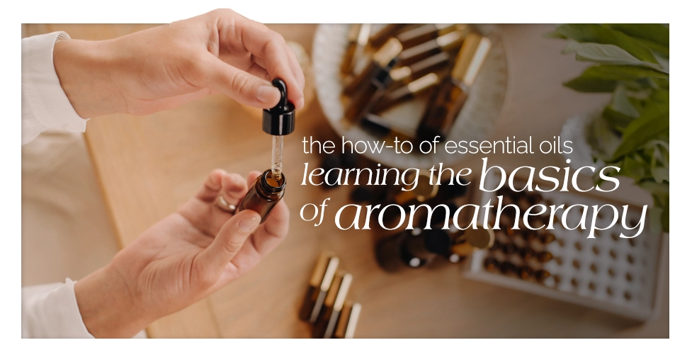 The_How to of Essential Oils Learning the Basics of Aromatherapy featured image