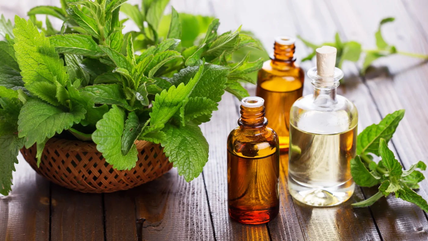 Fresh mint leaves in a basket with bottles of essential oils, highlighting natural remedies for diarrhea relief