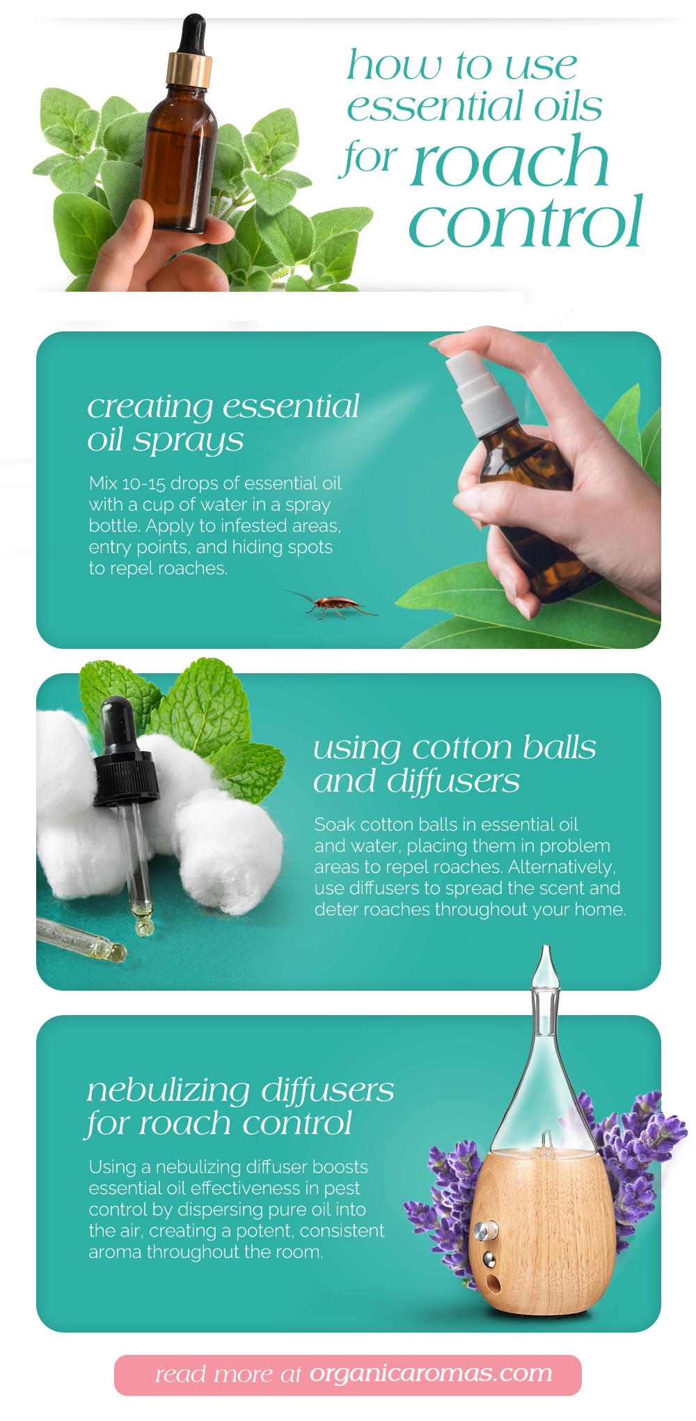 Infographic How to Use Essential Oils for Roach Control Infographic by Organic Aromas