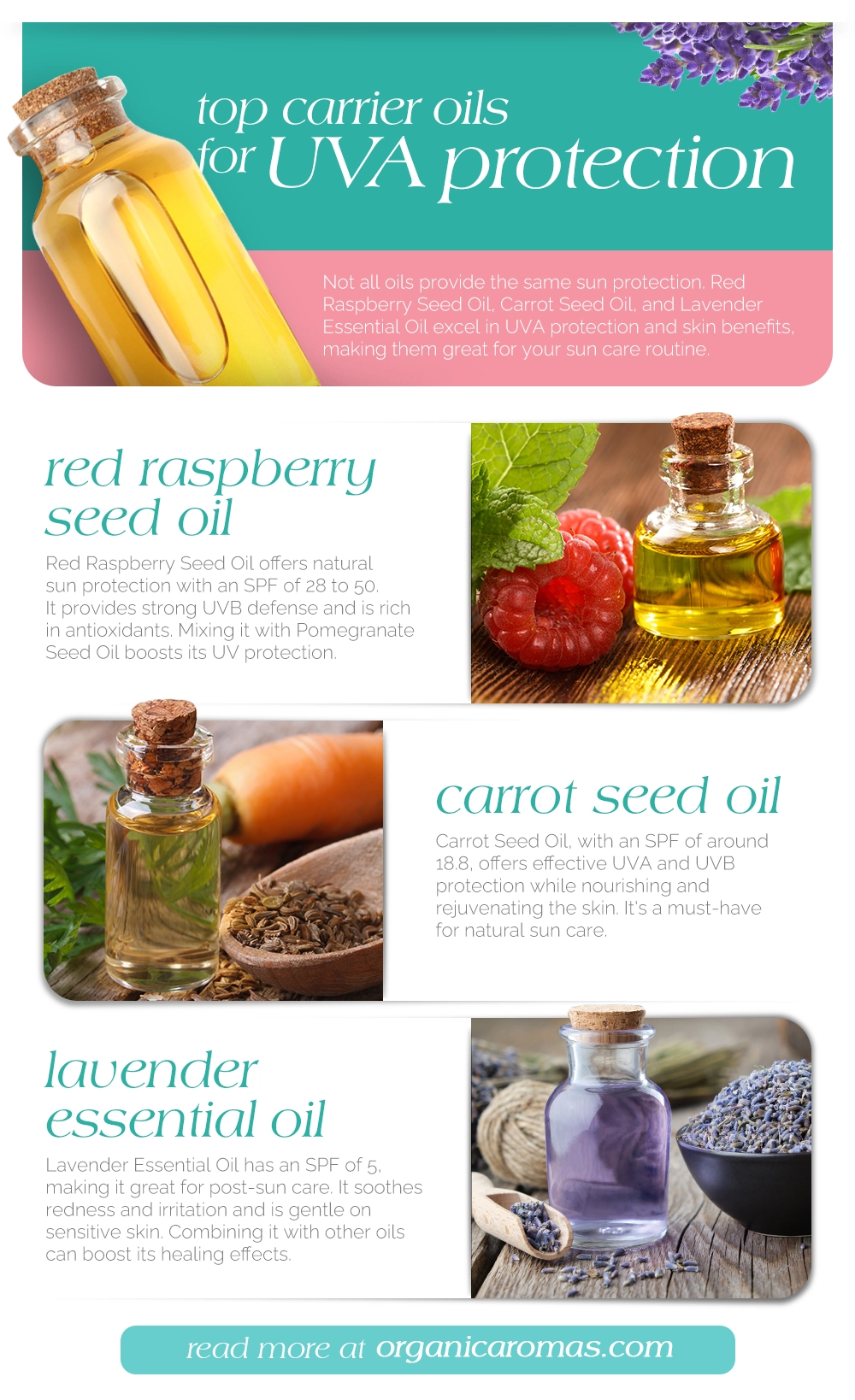 Top Essential Oils for UVA Sun Protection Natural SPF Solutions Revealed Infographic by Organic Aromas