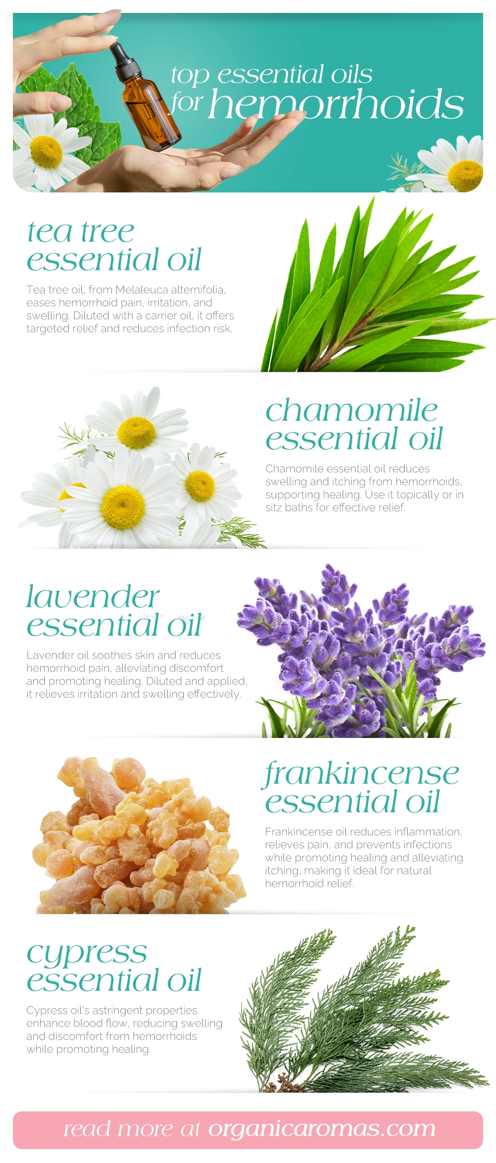 Top Essential Oils for Hemorrhoids Infographic by Organic Aromas