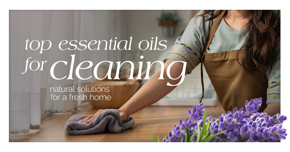 Top Essential Oils for Cleaning Natural Solutions for a Fresh Home Featured Image