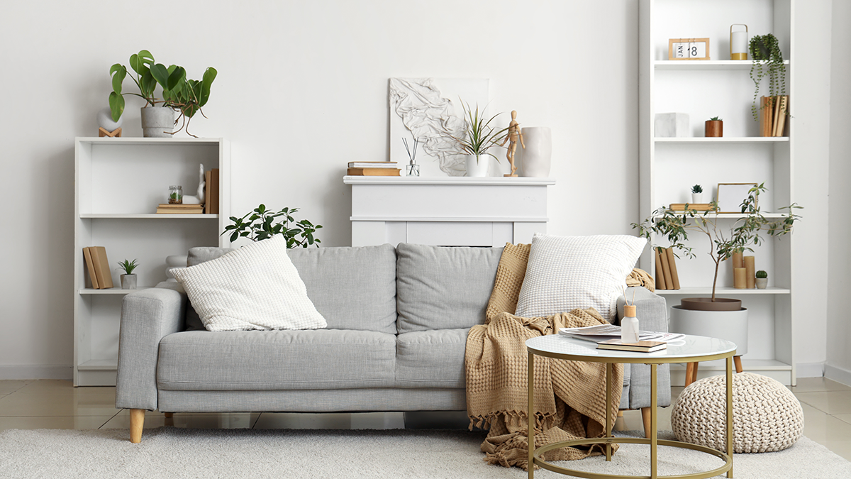 A cozy living room with a gray sofa, plants, and a reed diffuser