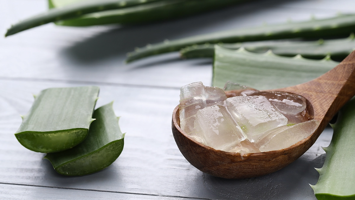 Aloe vera leaves and gel on a wooden spoon, representing a natural remedy for burns with soothing and healing properties