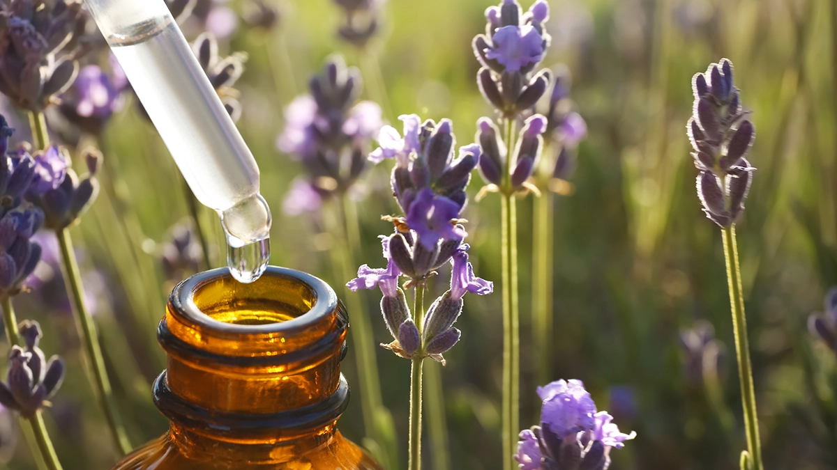 Dropper with essential oil and lavender, a natural remedy for pilar cysts