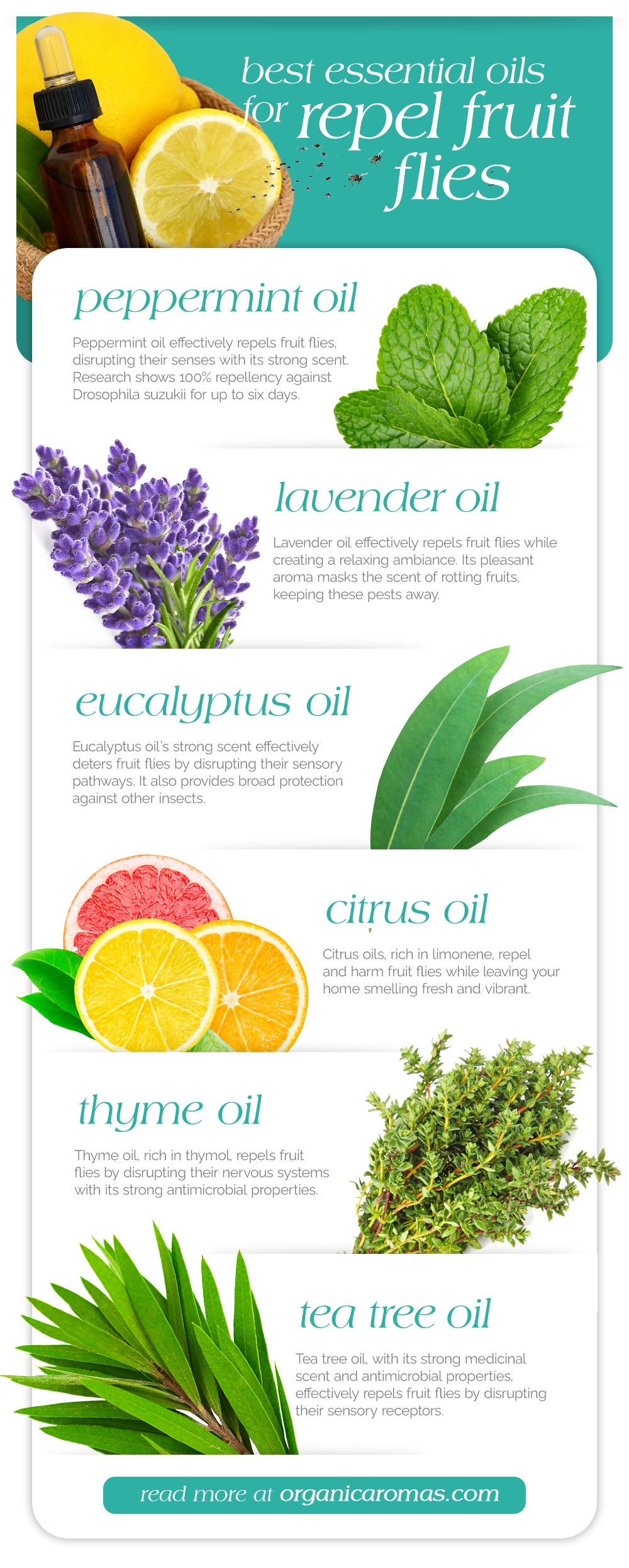 Best Essential Oils to Repel Fruit Flies Infographic by Organic Aromas