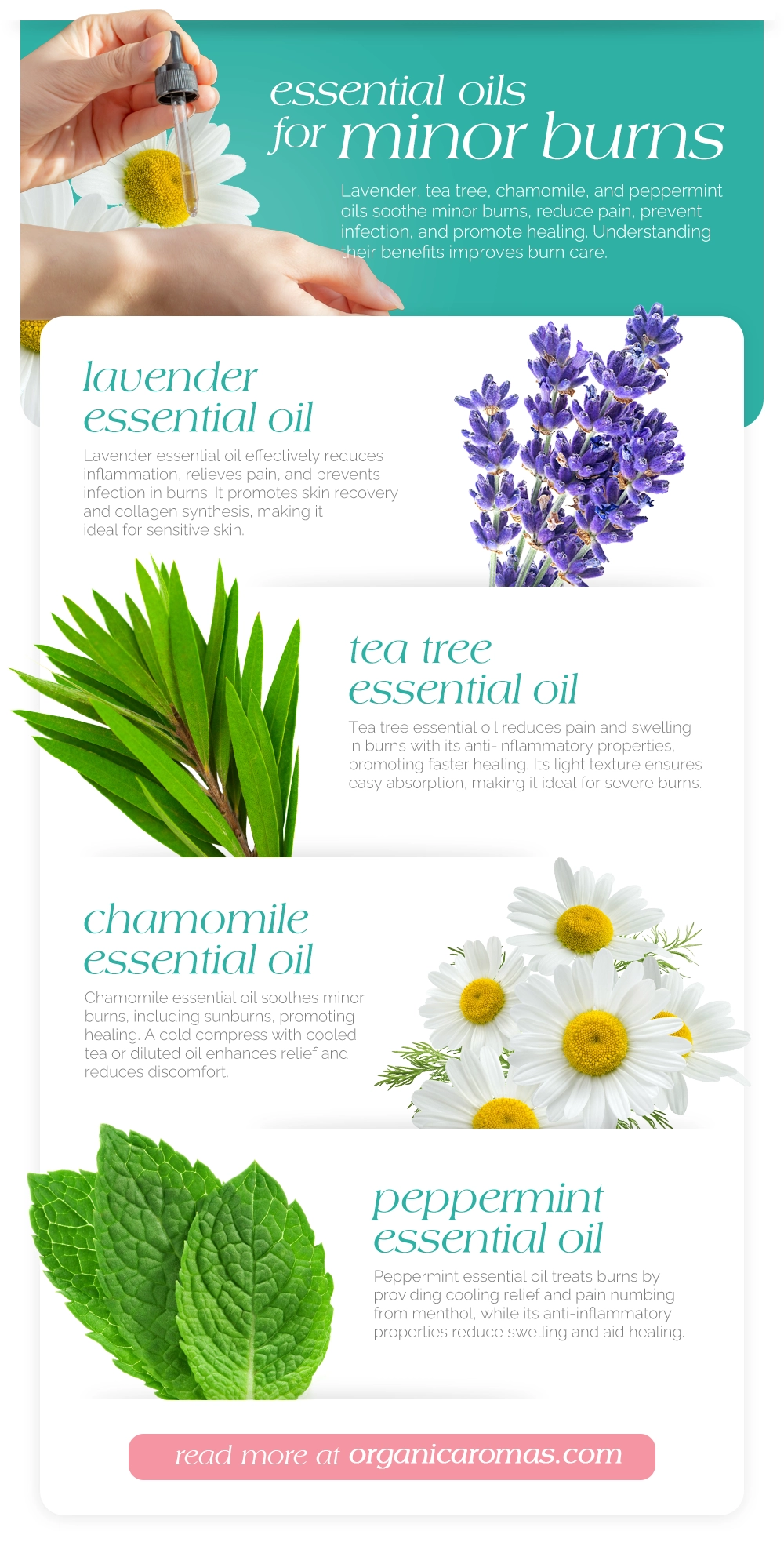 Essential Oils for Minor Burns Infographic by Organis Aromas