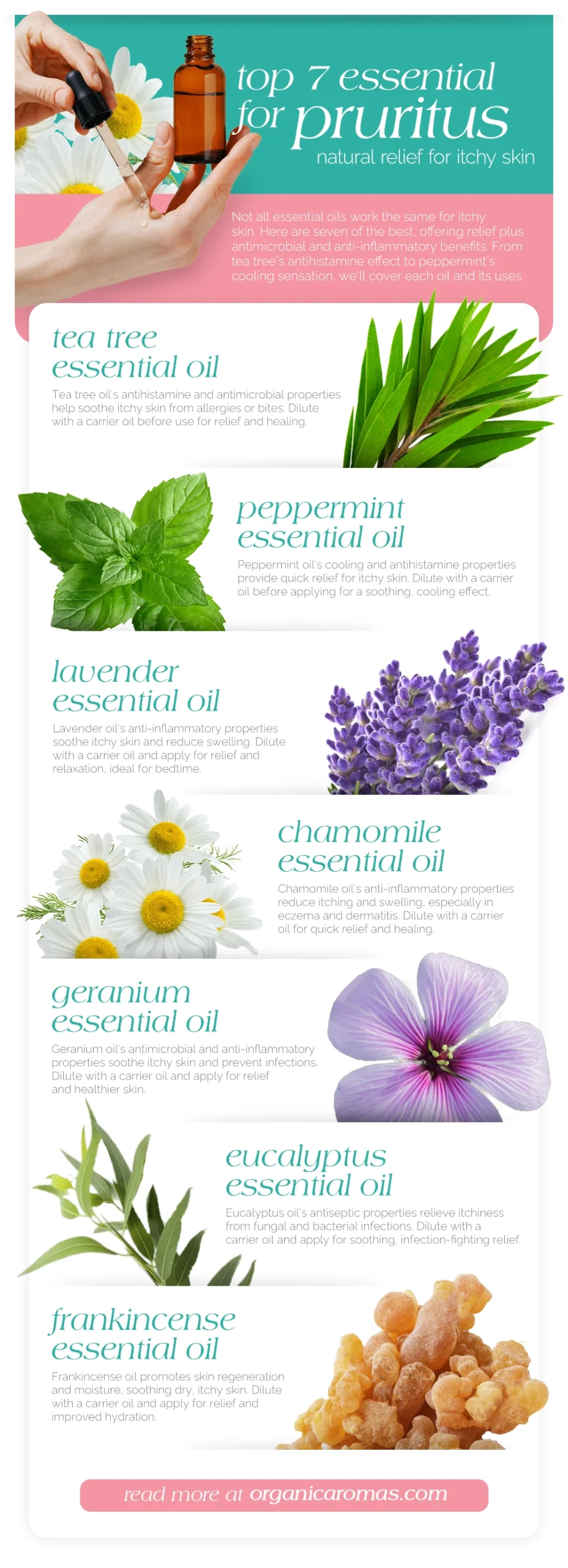 Top 7 Essential Oils for Pruritus Natural Relief for Itchy Skin Infographic by Organic Aromas