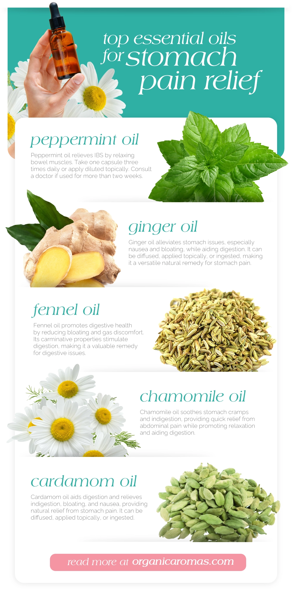 Top Essential Oils for Stomach Pain Relief Infographic by Organic Aromas