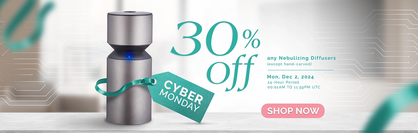 Cyber Monday Website Banner