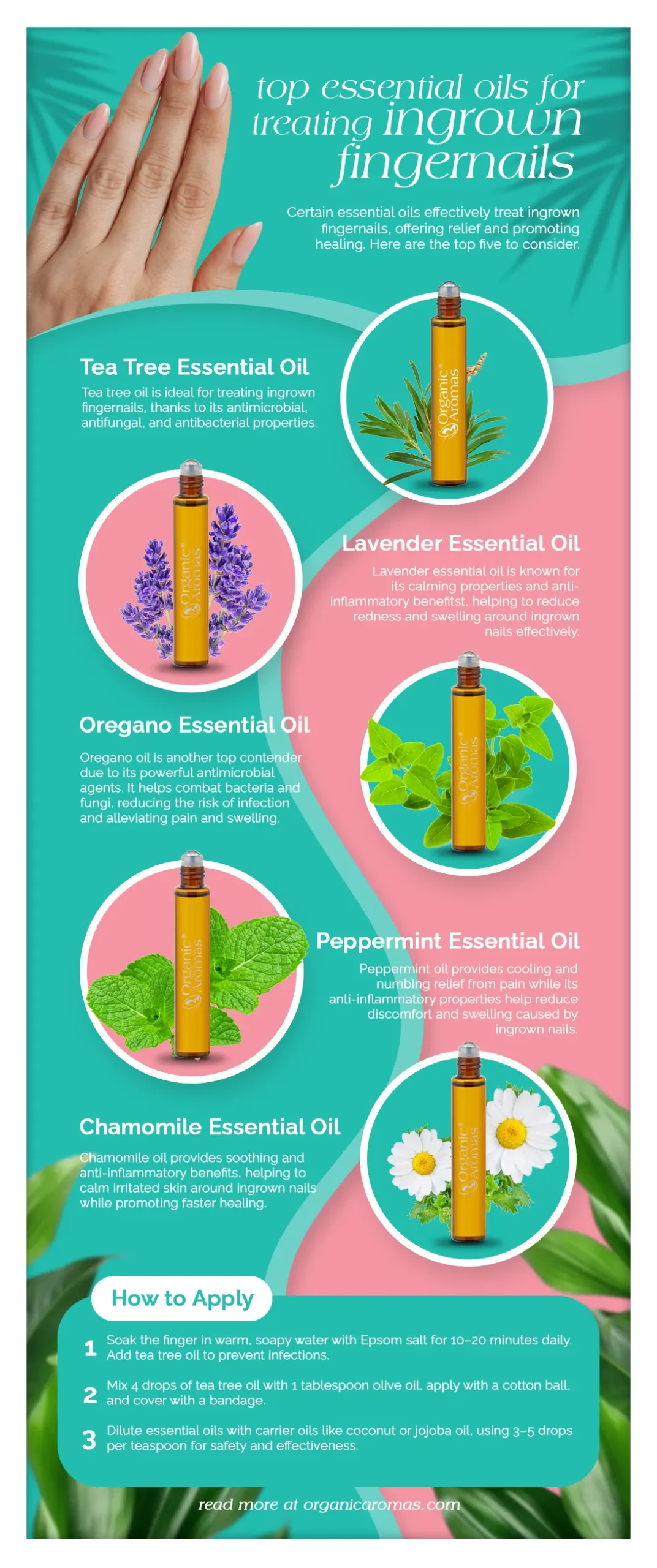 Top Essential Oils for Treating Ingrown Fingernails Infographic by Organic Aromas