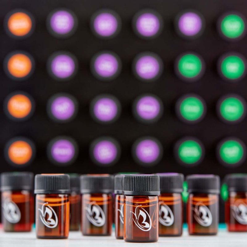 AromaCurious™ Starter Kit-1 AromaCurious™ Starter Kit-1