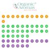 AromaCurious™ Starter Kit