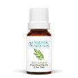 a brown bottle with a white cap of the Bay Laurel Essential Oil -10ml