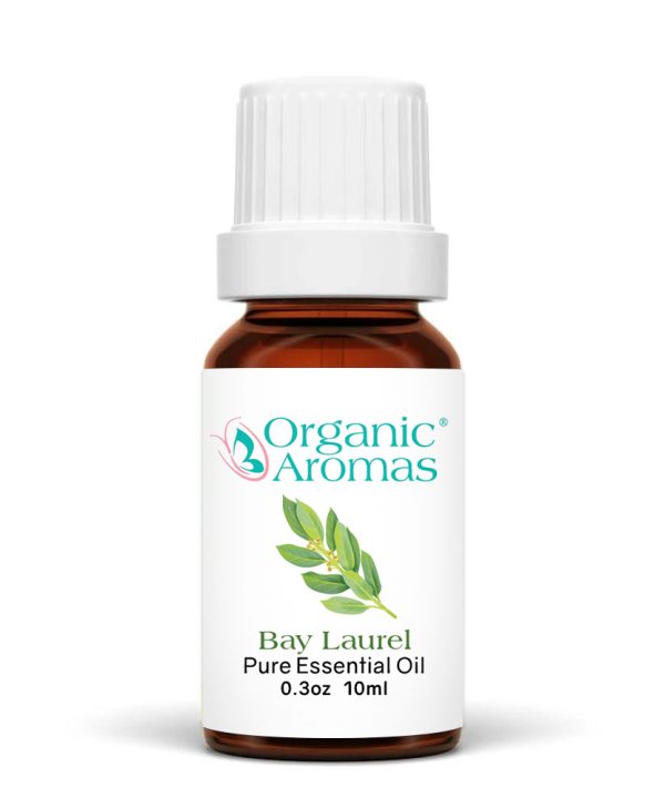 a brown bottle with a white cap of the Bay Laurel Essential Oil -10ml