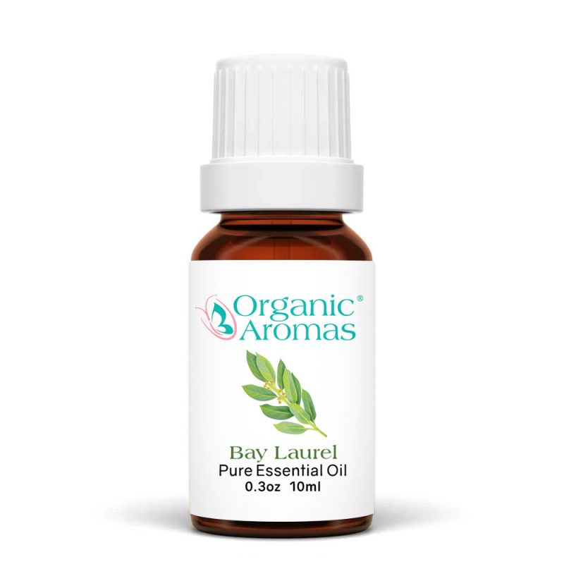 a brown bottle with a white cap of the Bay Laurel Essential Oil -10ml