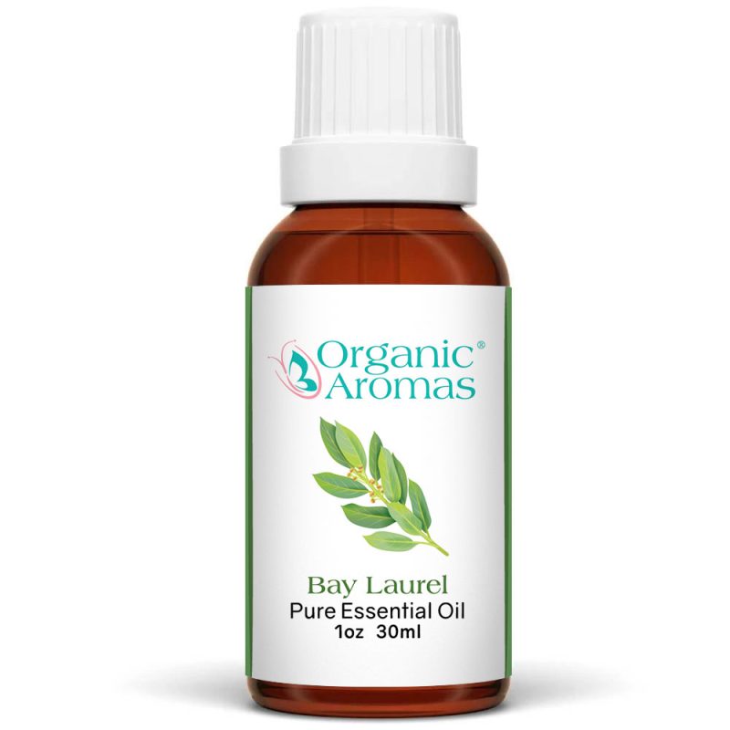 Laurel Essential Oil -30ml a brown bottle with a white cap of the Bay Laurel Essential Oil -30ml