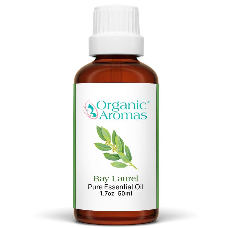 Bay-Laurel-50ml a brown bottle with a white cap of the Bay Laurel Essential Oil -50ml
