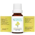 a bottle of Helichrysum Essential Oil with yellow labels